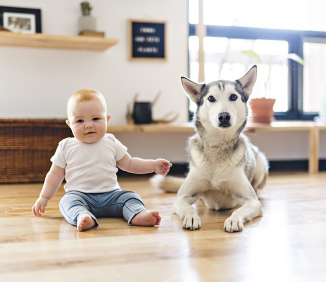 Three things to know about tongue and groove hardwood flooring