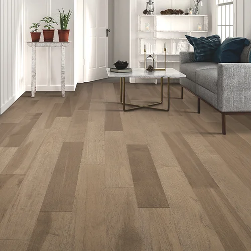 Philadelphia Flooring Solutions providing pet friendly waterproof vinyl flooring in Philadelphia, PA