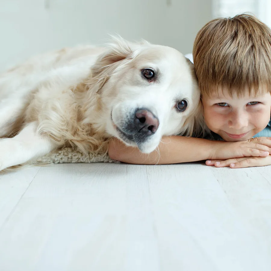 Cleaning products for all types of floors