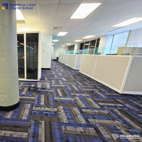 Commercial school flooring by Philadelphia Flooring Solutions