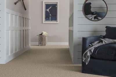 A Homeowner’s Practical Guide: Comparing Nylon and Polyester Carpet Performance