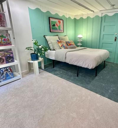 Turn One Room Into Two With Pet-Friendly Carpet