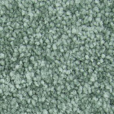 Mohawk aqua carpet