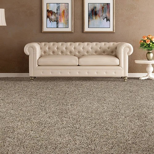 Philadelphia Flooring Solutions providing easy stain-resistant pet friendly carpet in Philadelphia, PA